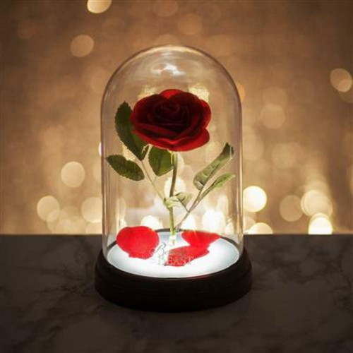 Disney lampada bella la - lampada,