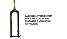 FORCELLA FULL CARBON 29" PERNO