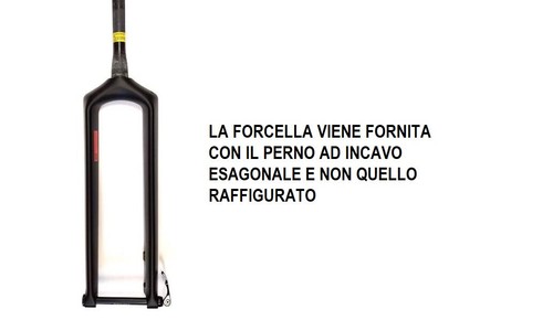 Forcella full carbon - forcella, perno
