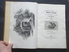 HISTORICAL ACCOUNT OF DUDLEY CASTLE & Its Surrounding Scenery by L. Booker 1825