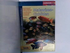 Malawisee-Cichliden