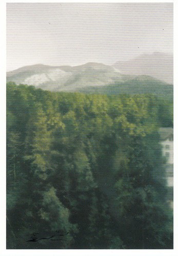 Cartolina gerhard richter - gerhard,