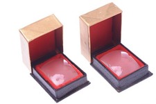 ✅ 1 WIRGIN EDIXA FOCUS