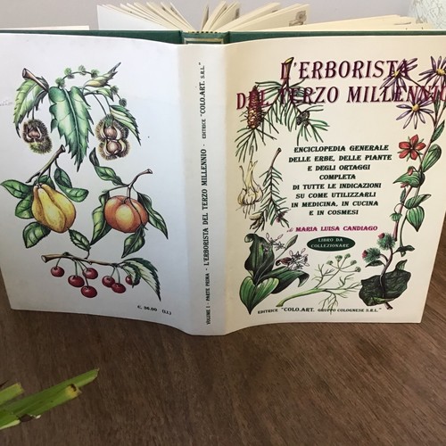 Libro cucina piante in - libro,