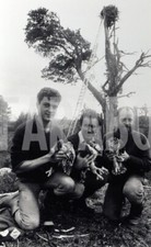 Foto vintage 1988, Uccelli, Falchi pescatori anellati, Stampa 19 x 13 cm