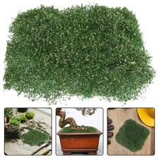  Végétation Maquette Fausse