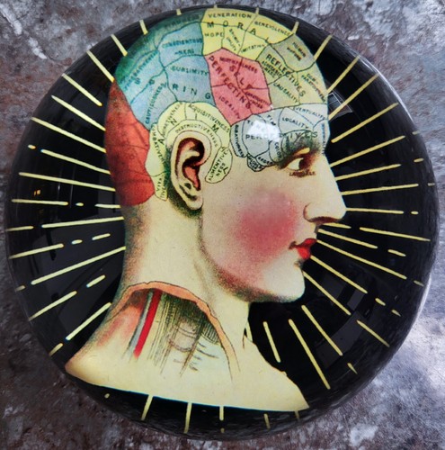 Phrenology paper weight - weight, lucy