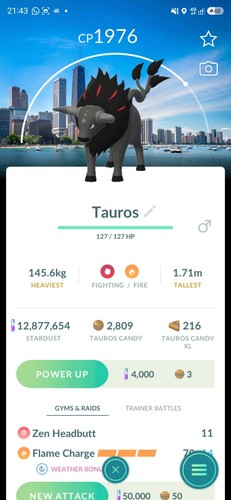 Paldean tauros blaze - paldean,