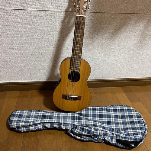 Chitarra elettroacustica