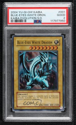 Blue eyes white - se, dragon