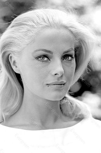 Virna lisi attrice - (6),