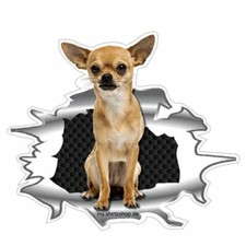 Il Mio Migliore Amico A Bordo Chihuahua Adesivo in Vinile Sticker per Auto 10cm