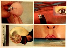 4 cartoline IMAGOMMAGE - 1981 - RARISSIME !