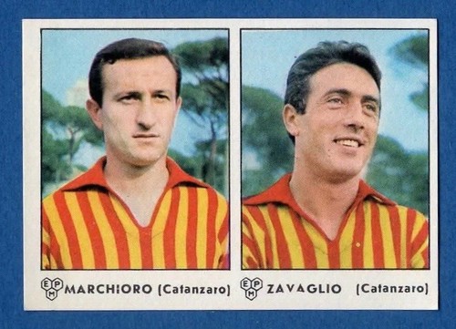 Figurina calciatori panini - figurina,