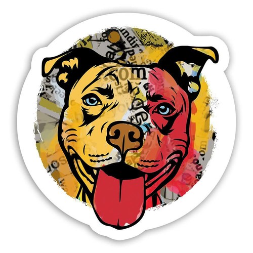 Adesivo regalo pitbull - adesivo, regalo: