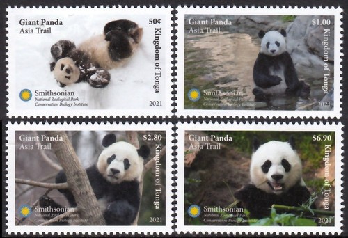 Tonga 2021 panda gigante - 2021,