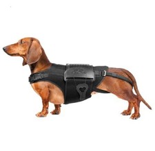 Tutore Schiena Cane IVDD