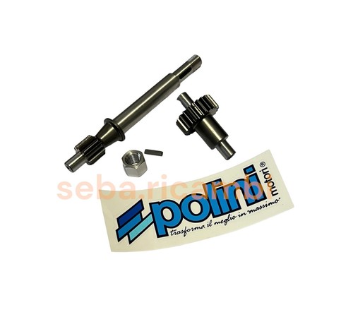 Kit polini ingranaggi primari - kit,
