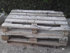 Vendo n. 20 europallet in