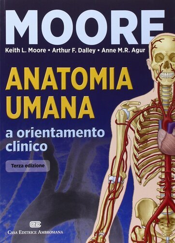 Anatomia umana orientamento - umana, a