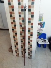 Canna bolognese 5m Free Style