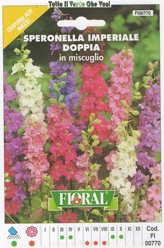 Floral busta sementi - floral-,