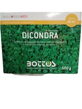 Semi di Dichondra Repens 500