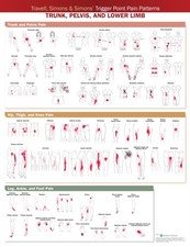 Travell, Simons & Simons’ Trigger Point Pain Patterns Wall  POSTER / WALLCHART