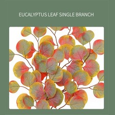 Foglie Finte Autunnali Pianta