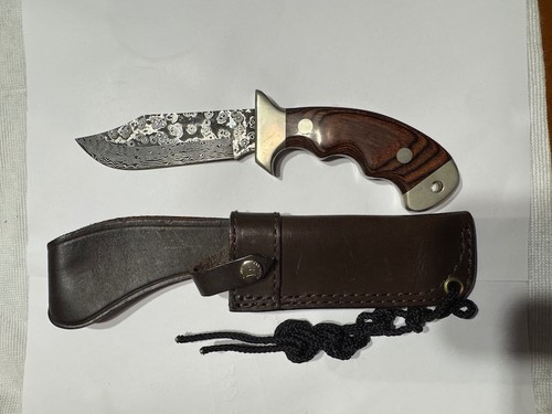 Coltello caccia sportivo - coltello,