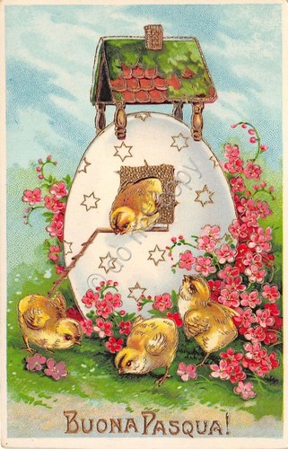 Cartolina illustrata buona - -,