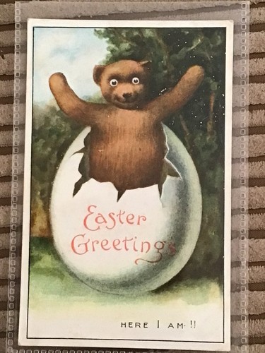 Early 1900s postcard teddy - 1900s,