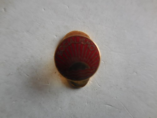 Distintivo partito socialista - partito,