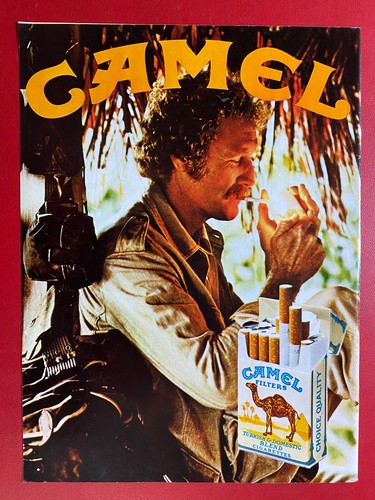 Camel sigarette smoking - sigarette,