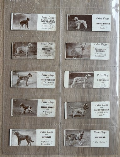 Edward sharp trade cards - 15,