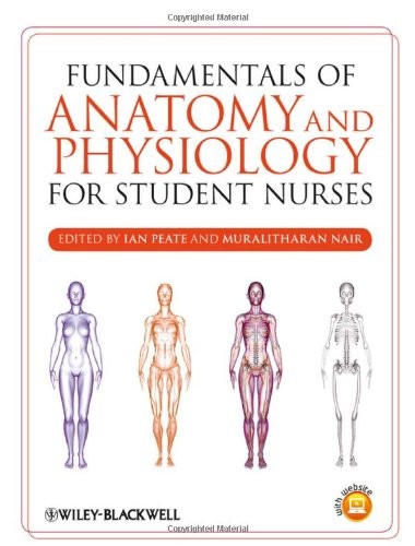 Fundamentals anatomy and - fundamentals,