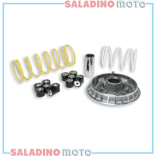 Variatore malossi multivar - variatore,