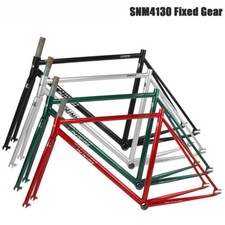 Telaio Bici Ingranaggio Fisso