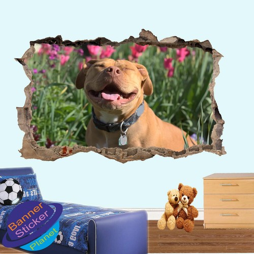 Adesivi murali cane pitbull - murali,