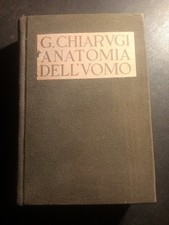 Chiarugi Anatomia Dell'uomo 1936 Vol. II