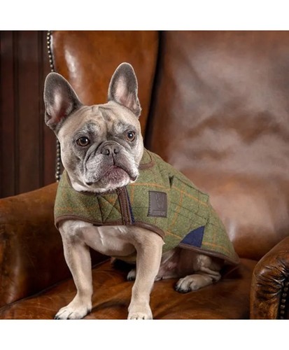 Cappotto cane digby fox - cappotto,