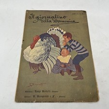 il giornalino della domenica -