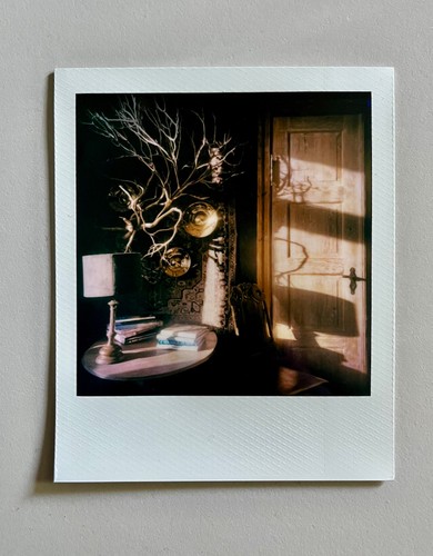Polaroid natura morta - x, polaroid,