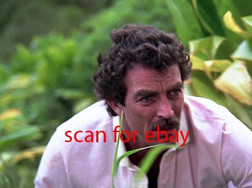Magnum tom selleck foto - tom,