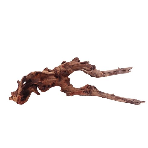 Driftwood flußwurzel - driftwood,