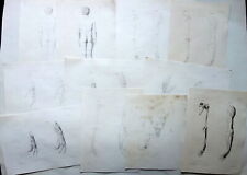 11 Incisioni Anatomiche al Tratto Tavole Originali Metà '800 Anatomia Medicina