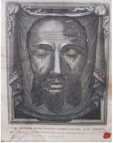 Volto santo gesù - volto, cristo