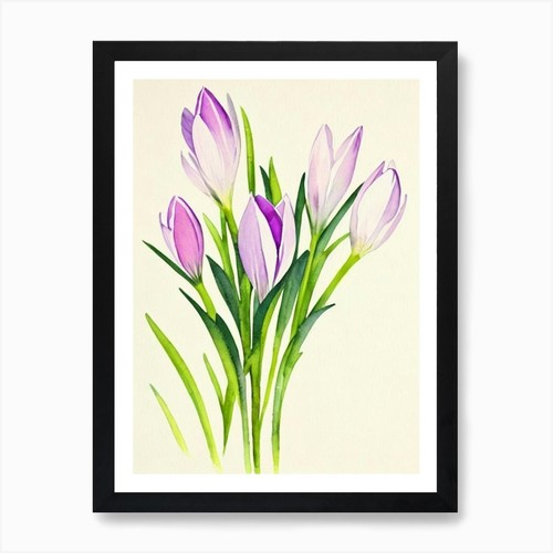 Crocus vintage fiori arte - crocus,