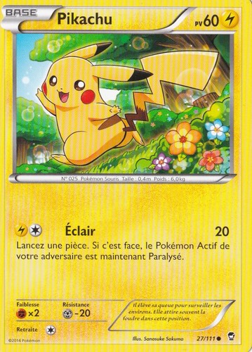 Pikachu xy03 poings furieux - -, xy03:poings