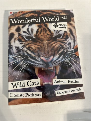 Wonderful world vol - wonderful,